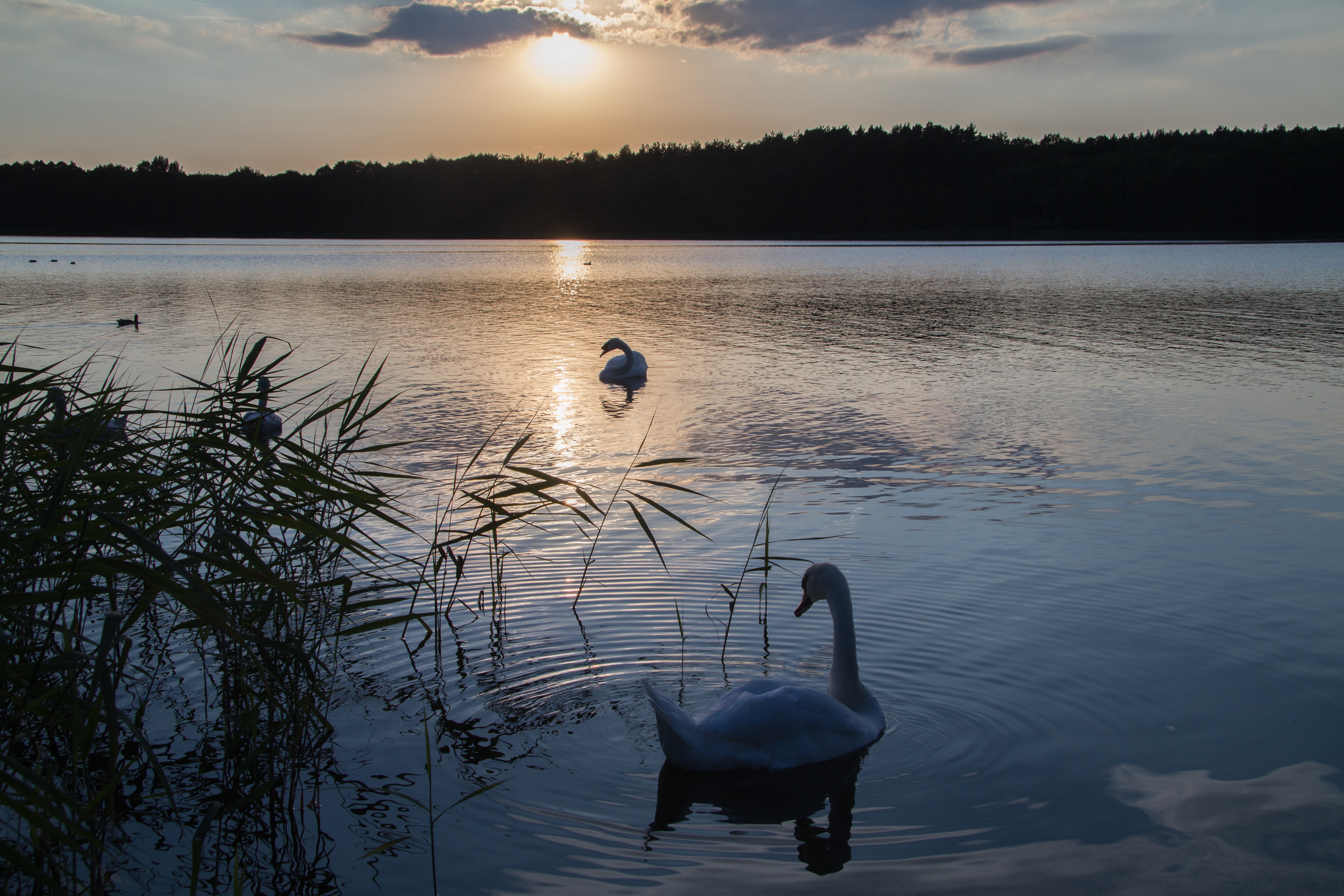 Müritz, Seenplatte